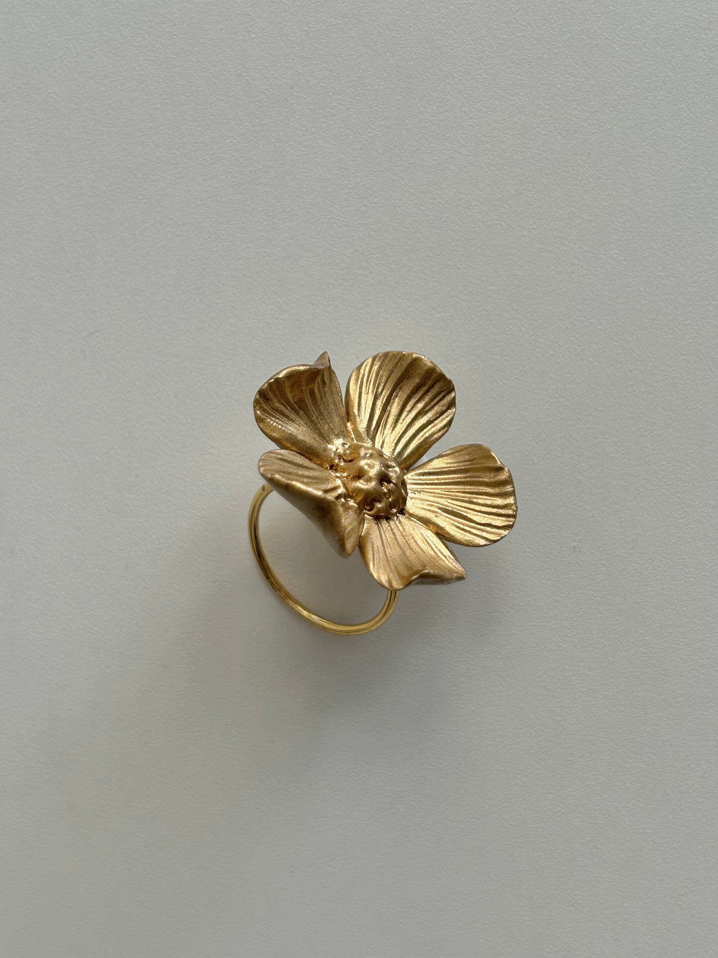 ANILLO CHABELA GOLD