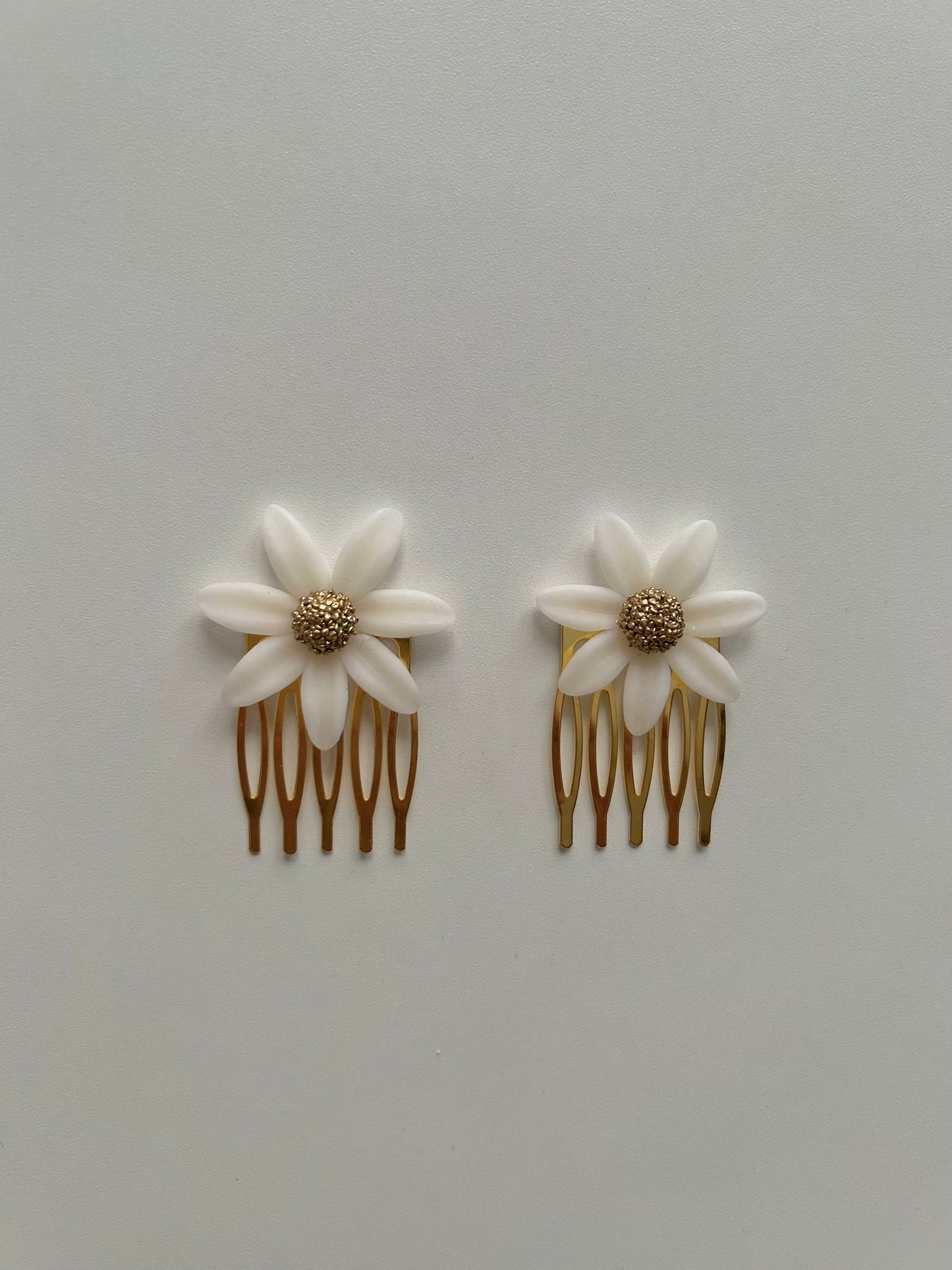 PEINETA DAISY