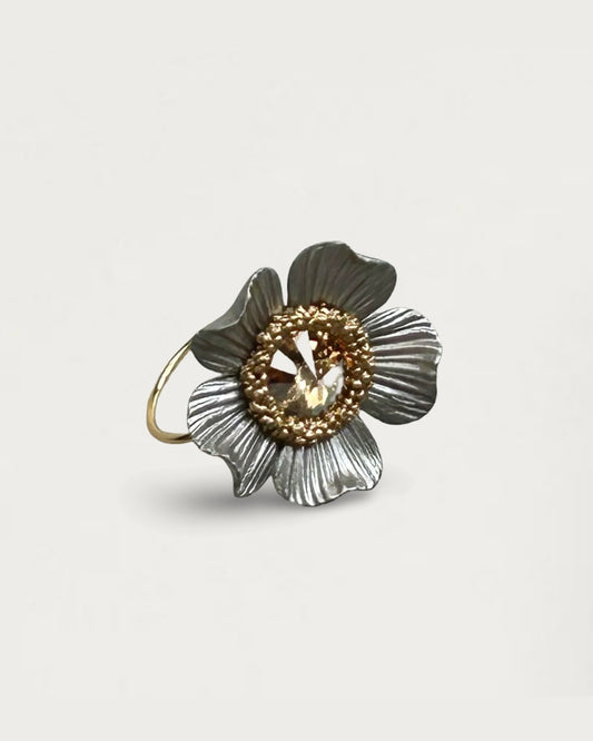 ANILLO CHABELA PARTY PLATA