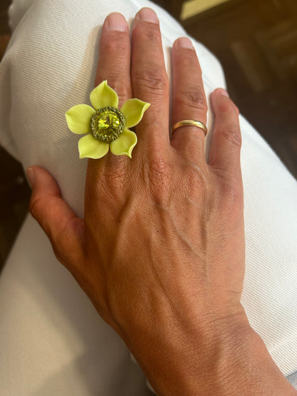 ANILLO JAZMÍN LIMA